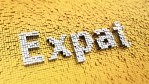 Expat Taxes