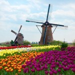 Expat Tax In Netherlands