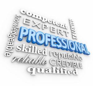 Professional Tax Service